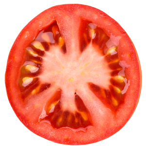 slice of tomato
